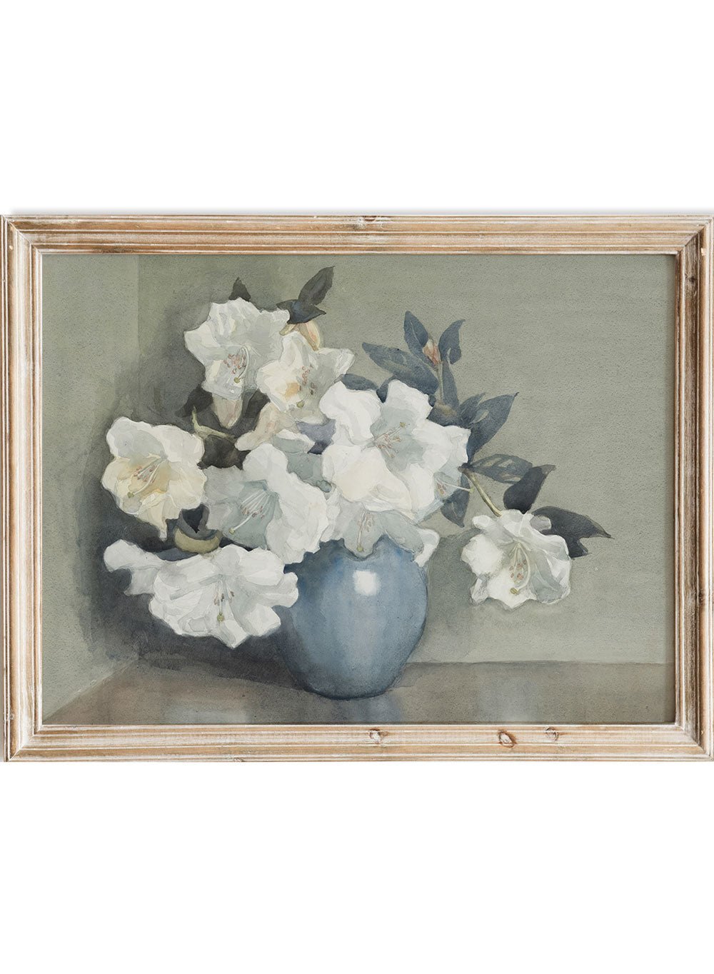 Vintage White Rhododendron Flowers in Vase Still Life Art Print