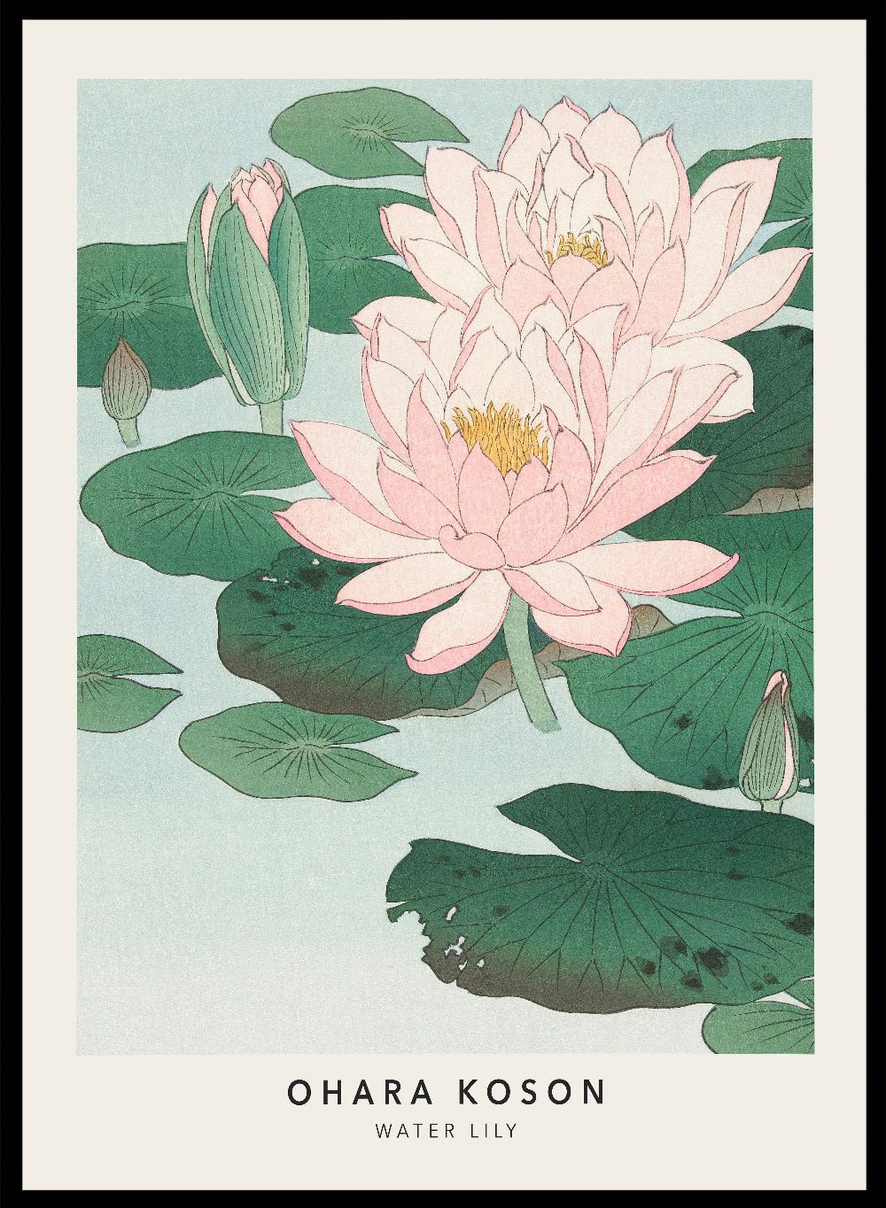 Ohara Koson Water Lily Vintage Japanese Woodblock Art Print