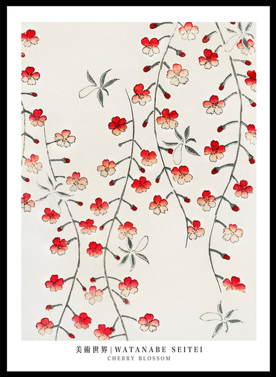 Sugar & Canvas 5x7 inches/13x18cm Watanabe Seitei Cherry Blossom Art Print