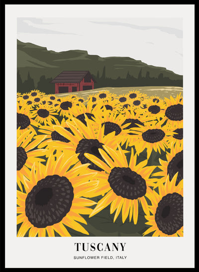 Sugar & Canvas 8x10 inches/20x25cm Sunflower Field in Tuscany Italy Art Print