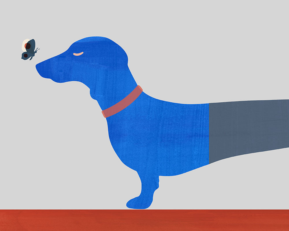 Casa Cartissi Art Collection