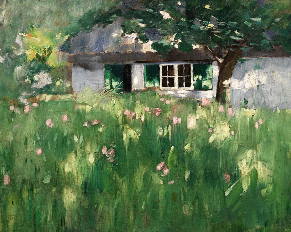 The Green Oasis Collection - Sugar & Canvas