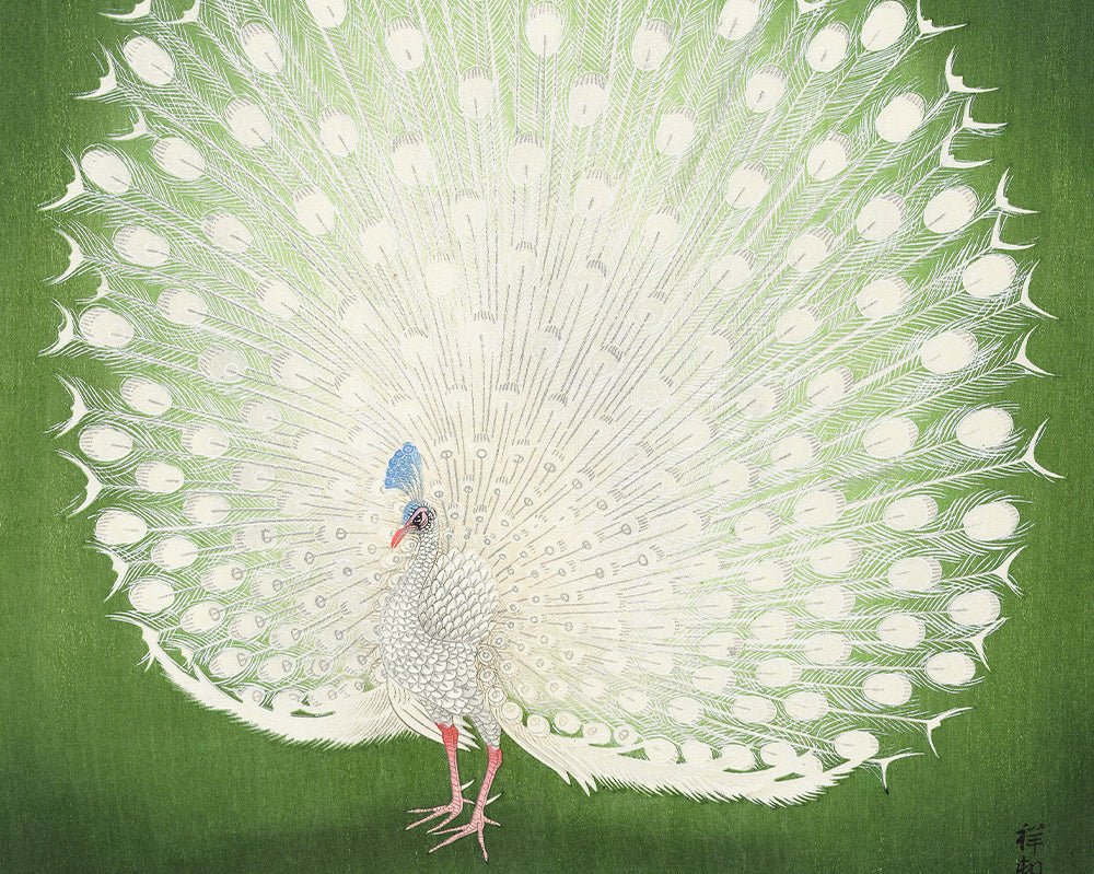 Ohara Koson Art Prints - Sugar & Canvas