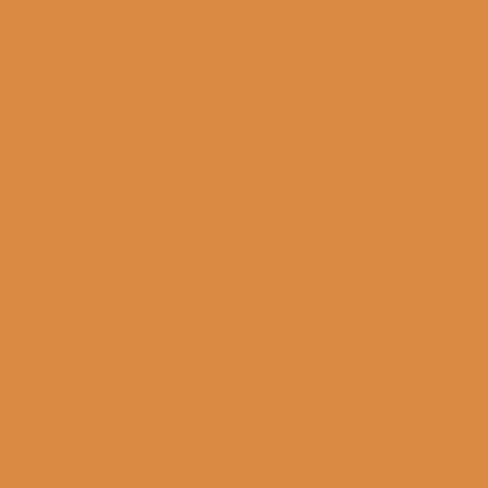 Orange Art Prints - Sugar & Canvas
