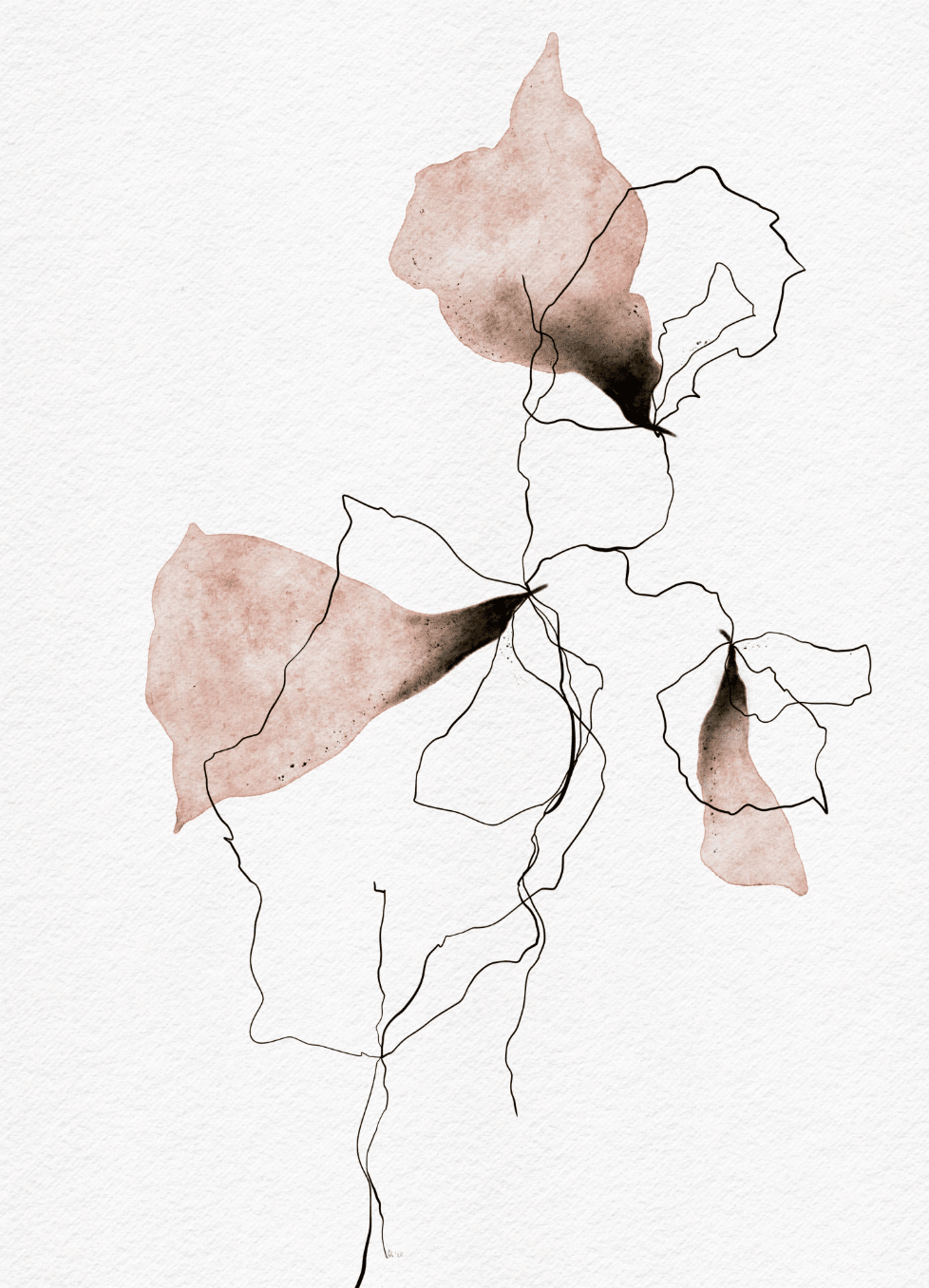 Ankie Kooi Art Collection - Sugar & Canvas