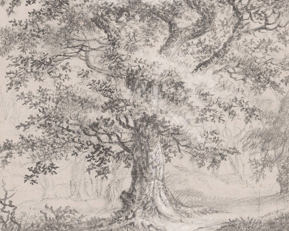 18-19th Century Vintage Sketches & Drawings Art Prints - Sugar & Canvas