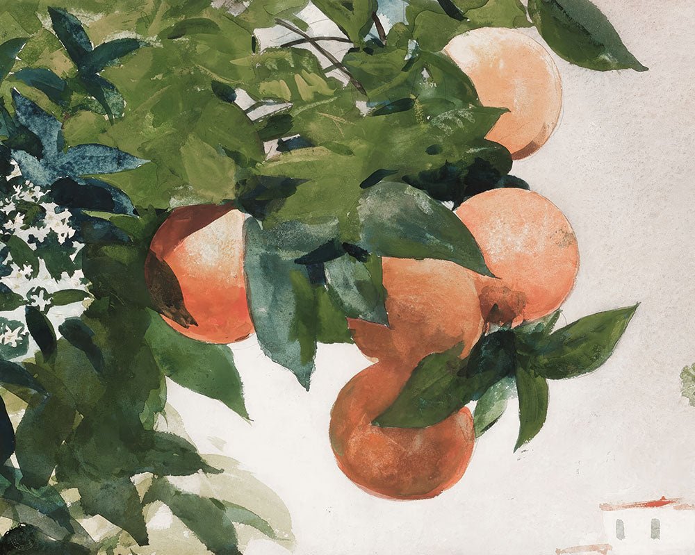 18-19th Century Vintage Still Life & Botanical Art Prints - Sugar & Canvas