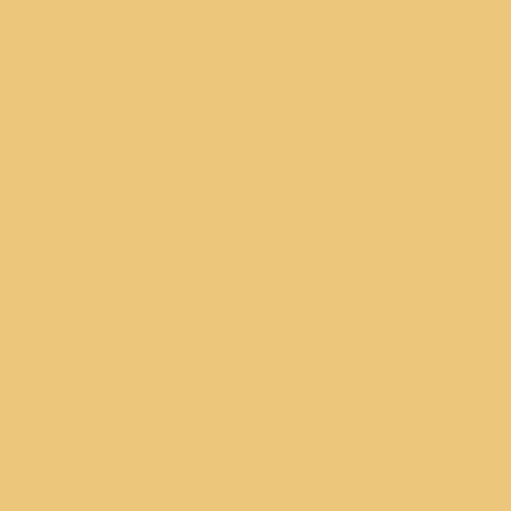 Yellow Art Prints - Sugar & Canvas
