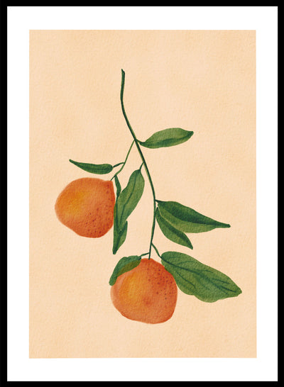 Oranges on Branch Wall Art Print | Hand Drawn Fruit Illustration, Contemporary Summer Botanical Poster, Modern Kitchen Aesthetic Decor