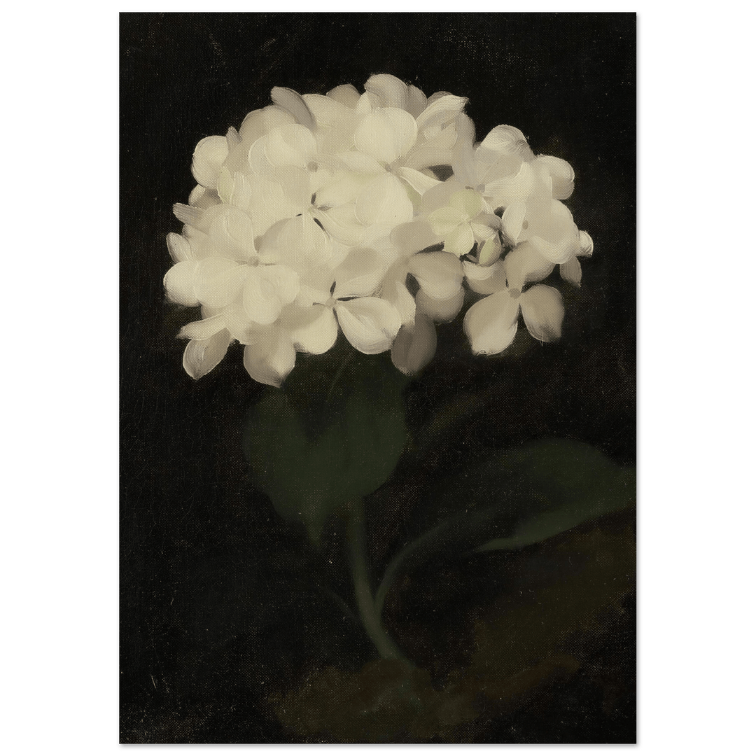 "White Hydrangea" Art Print_Sugar & Canvas