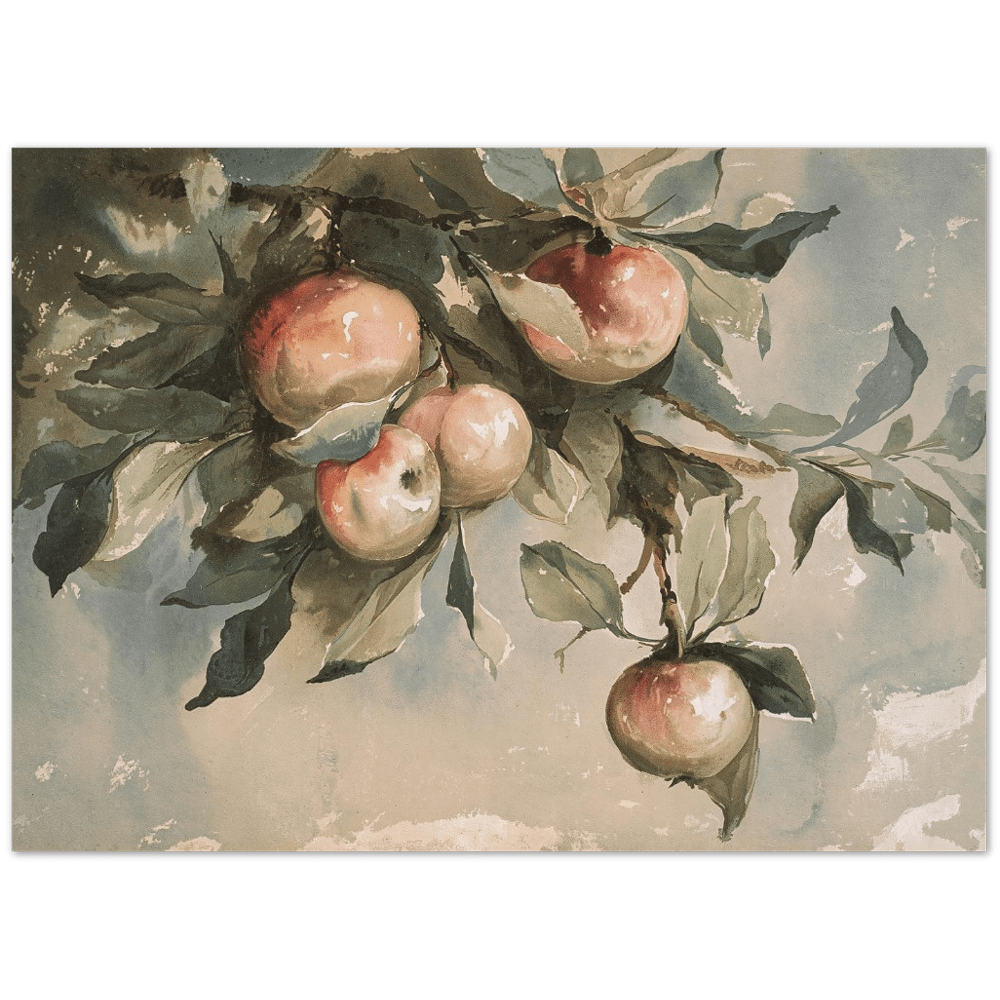 "Study of Apples" Art Print_Sugar & Canvas