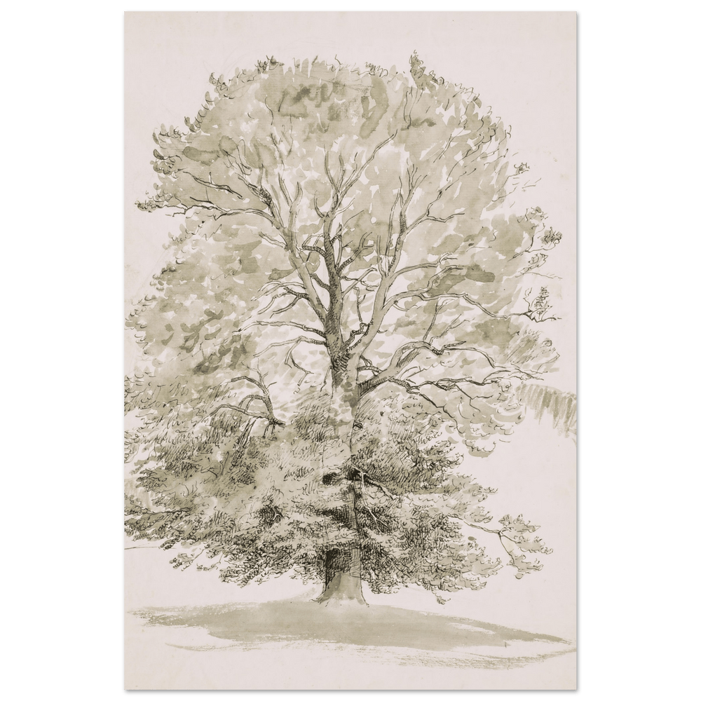 "A Large Beech Tree with Green Foliage" Art Print_Sugar & Canvas