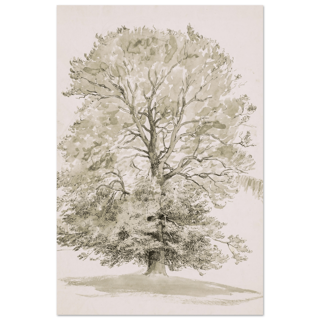 "A Large Beech Tree with Green Foliage" Art Print_Sugar & Canvas