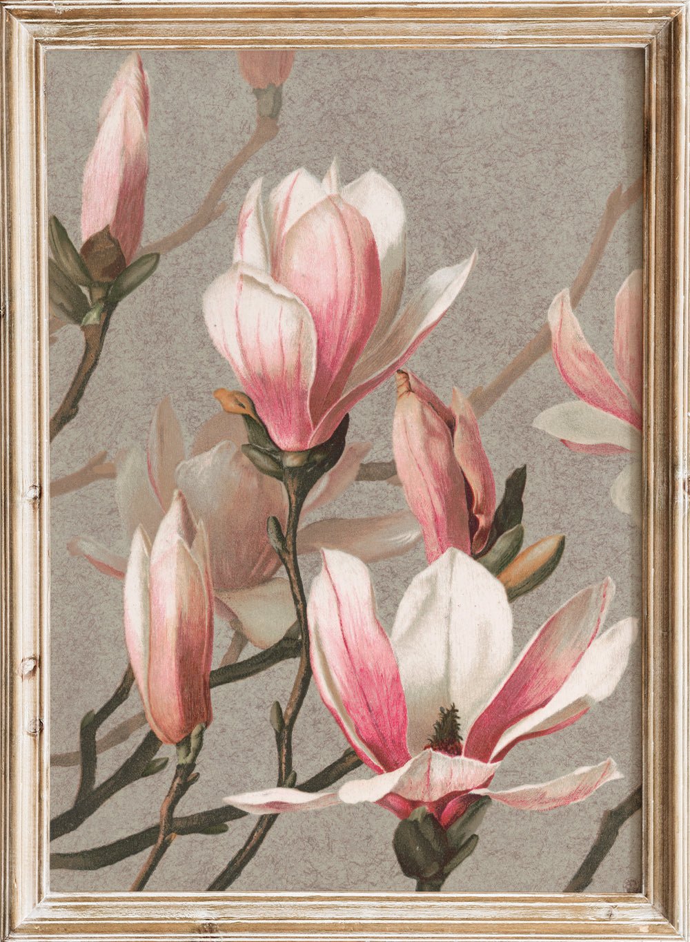 "Magnolia" Art Print_Sugar & Canvas