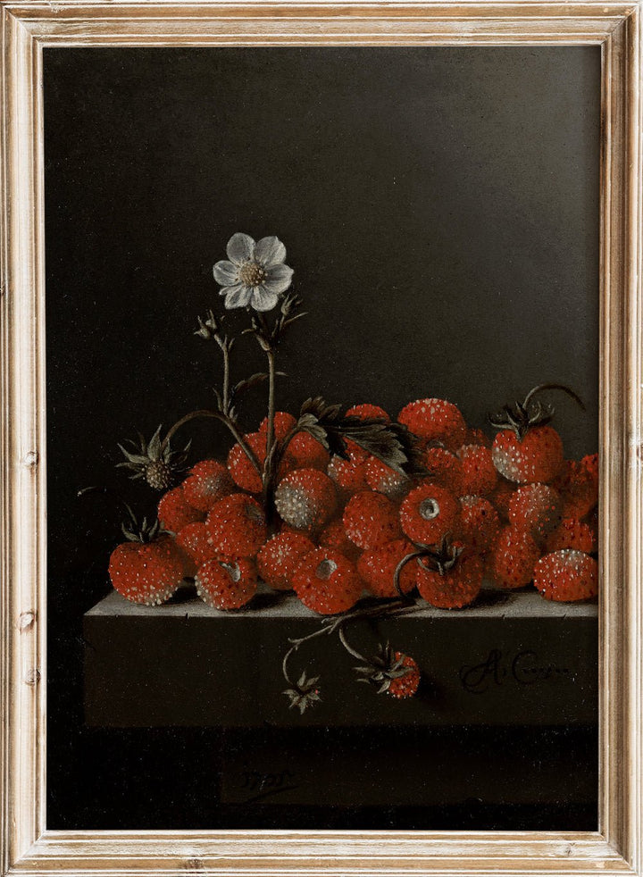 "Still Life with Wild Strawberries" Art Print_Sugar & Canvas