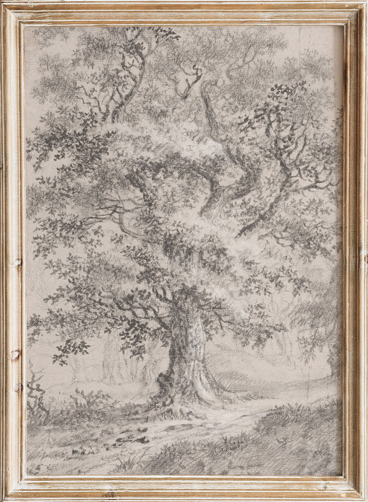 "A Leafy Oak by a Woodland Path" Art Print_Sugar & Canvas