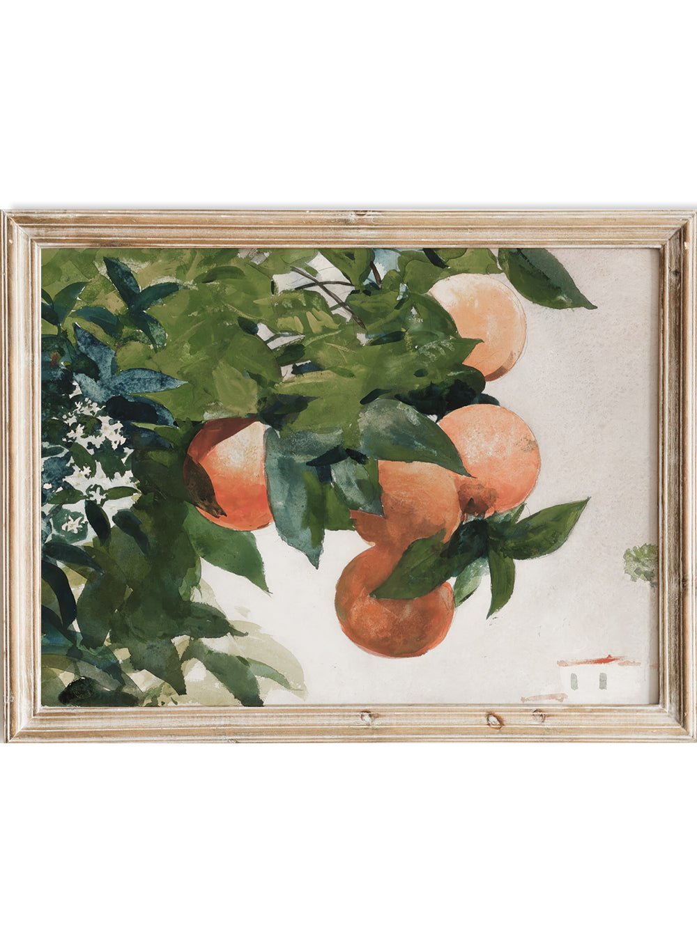 "Oranges on a Branch" Art Print_Sugar & Canvas