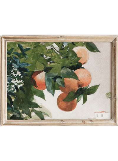 Vintage Orange Fruit Wall Art Print | Still Life Citrus Painting Poster, Botanical Kitchen Decor, Antique Rustic Food Moody Farmhouse, Winslow Homer - Oranges on a Branch 