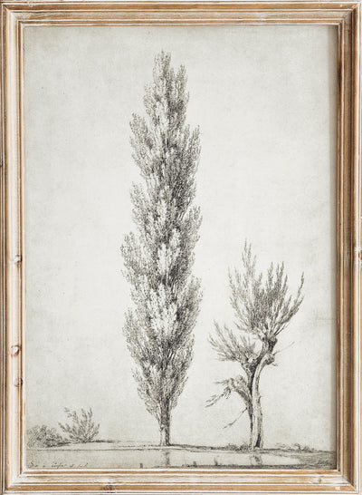 Vintage Tree Sketch Art Print, Rustic Vintage Art Print, Vintage Tree Drawing, Neutral Landscape Vintage Poster, Jean Victor Bertin