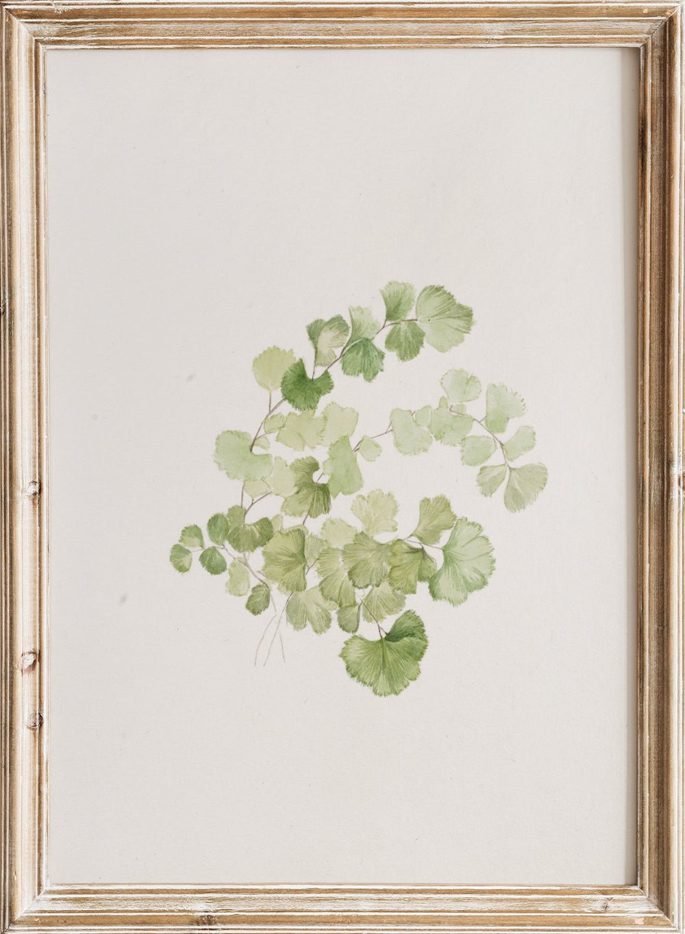 "Puccoon" Art Print_Sugar & Canvas