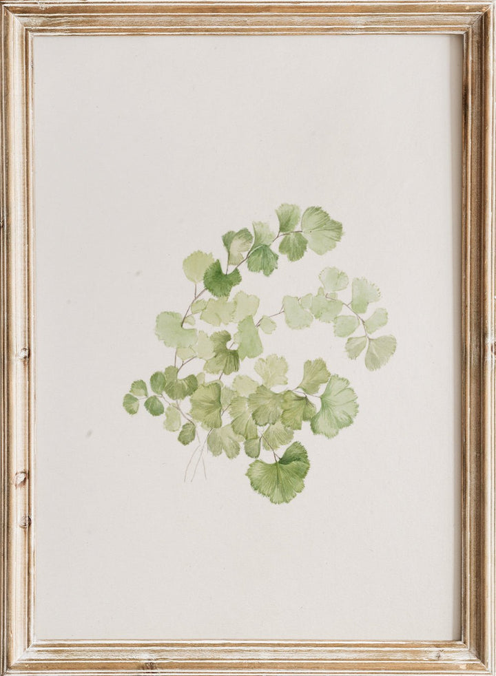 "Puccoon" Art Print_Sugar & Canvas