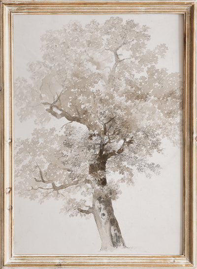 Vintage Tree Sketch Watercolor Painting Wall Art Print | Rustic European Minimalist Neutral Landscape Poster, Farmhouse Cottagecore , Jacques-Raymond Brascassat - Étude d’arbre
