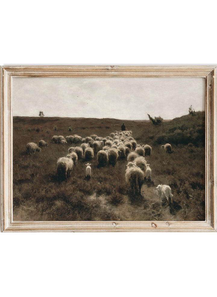 "The Return of the Flock, Laren" Art Print_Sugar & Canvas