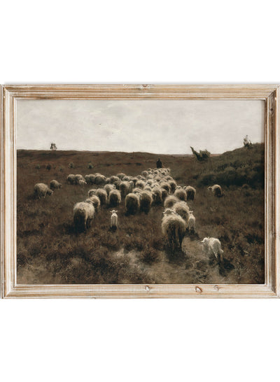European Vintage Sheeps Lambs on Field Animal Portrait Neutral Painting Wall Art Print, Rustic Dark Farmhouse Antique Nature Poster, The Return of the Flock, Laren, Anton Mauve