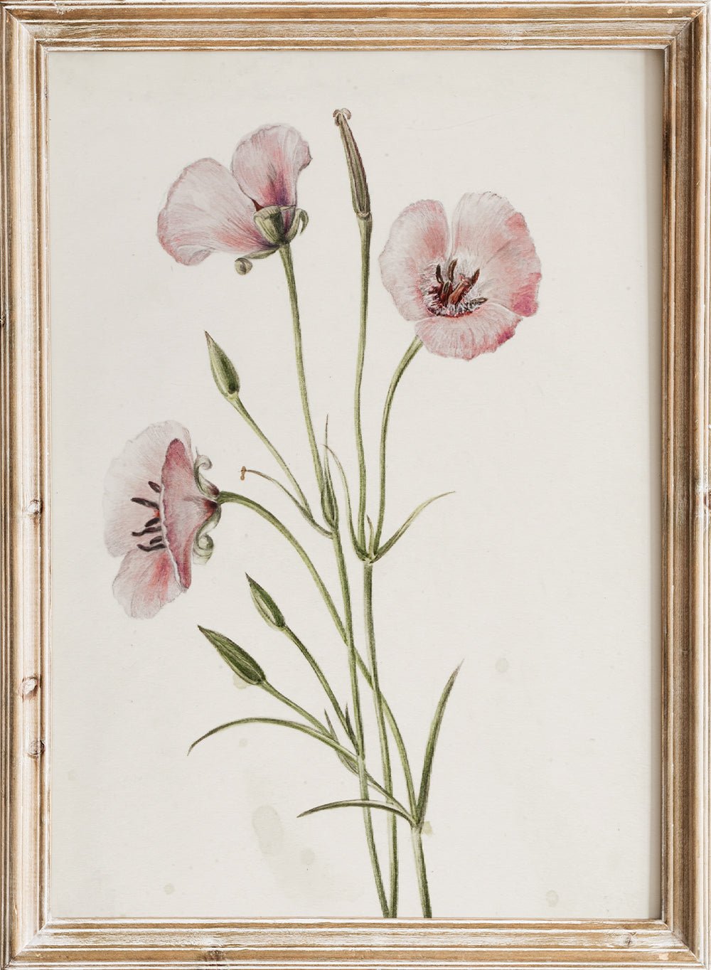 "Lilac Mariposa" Art Print_Sugar & Canvas