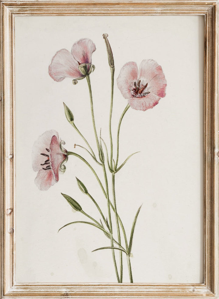 "Lilac Mariposa" Art Print_Sugar & Canvas