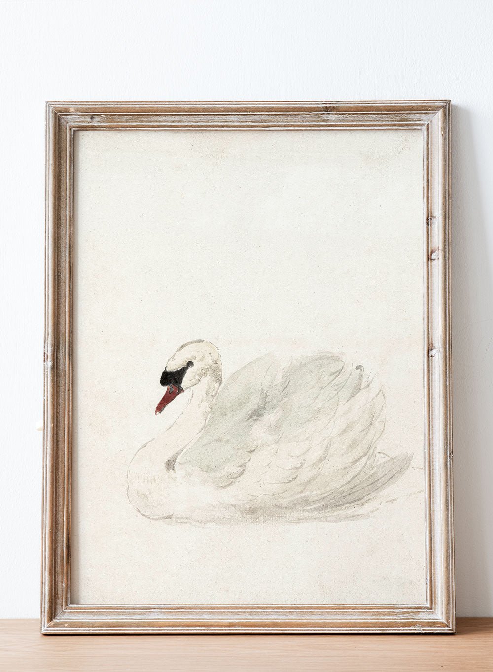 "Swan" Art Print_Sugar & Canvas