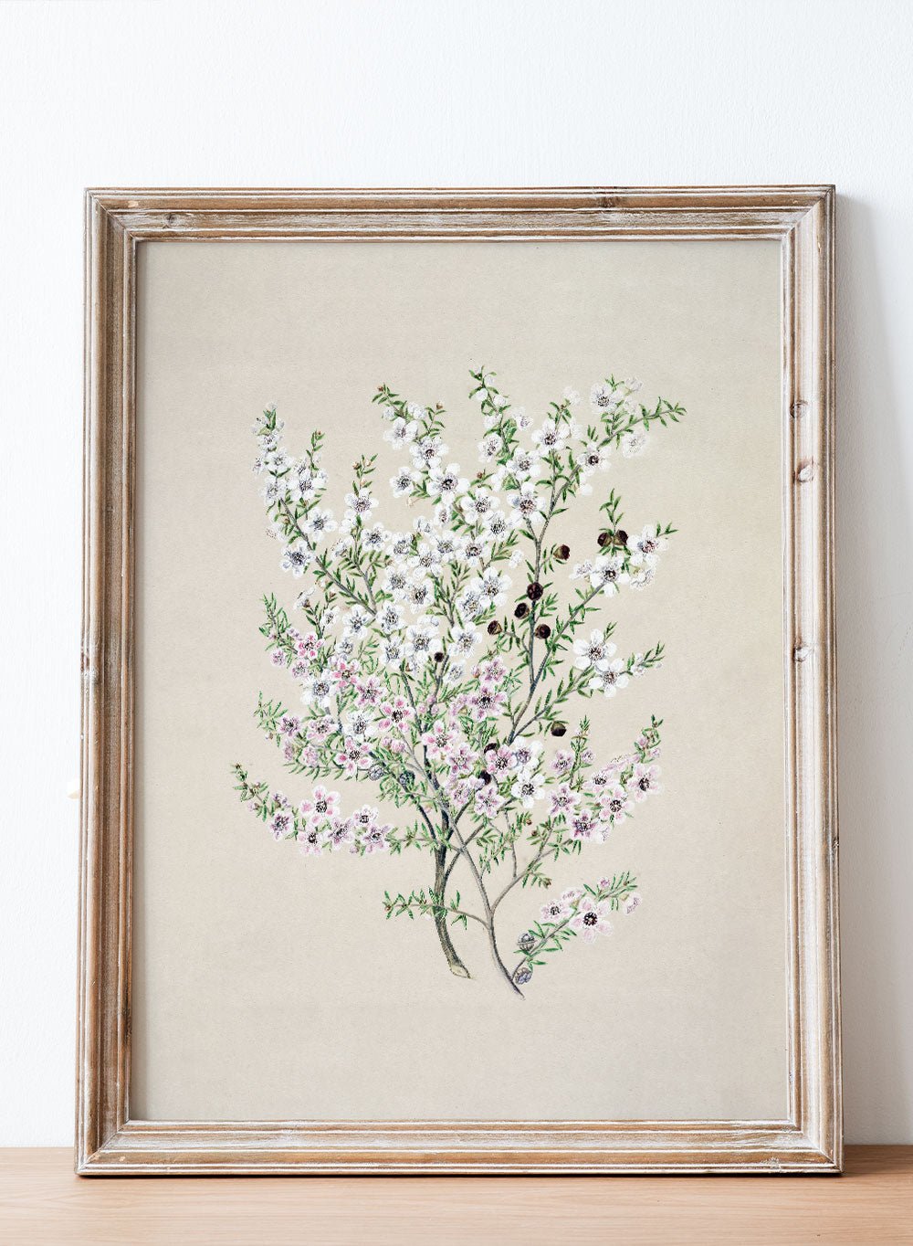 "Manuka" Art Print_Sugar & Canvas