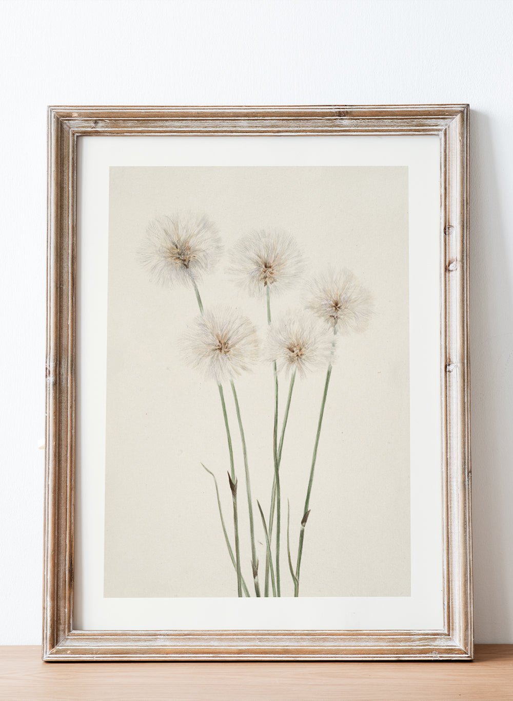 "Slender Cotton - Grass" Art Print_Sugar & Canvas