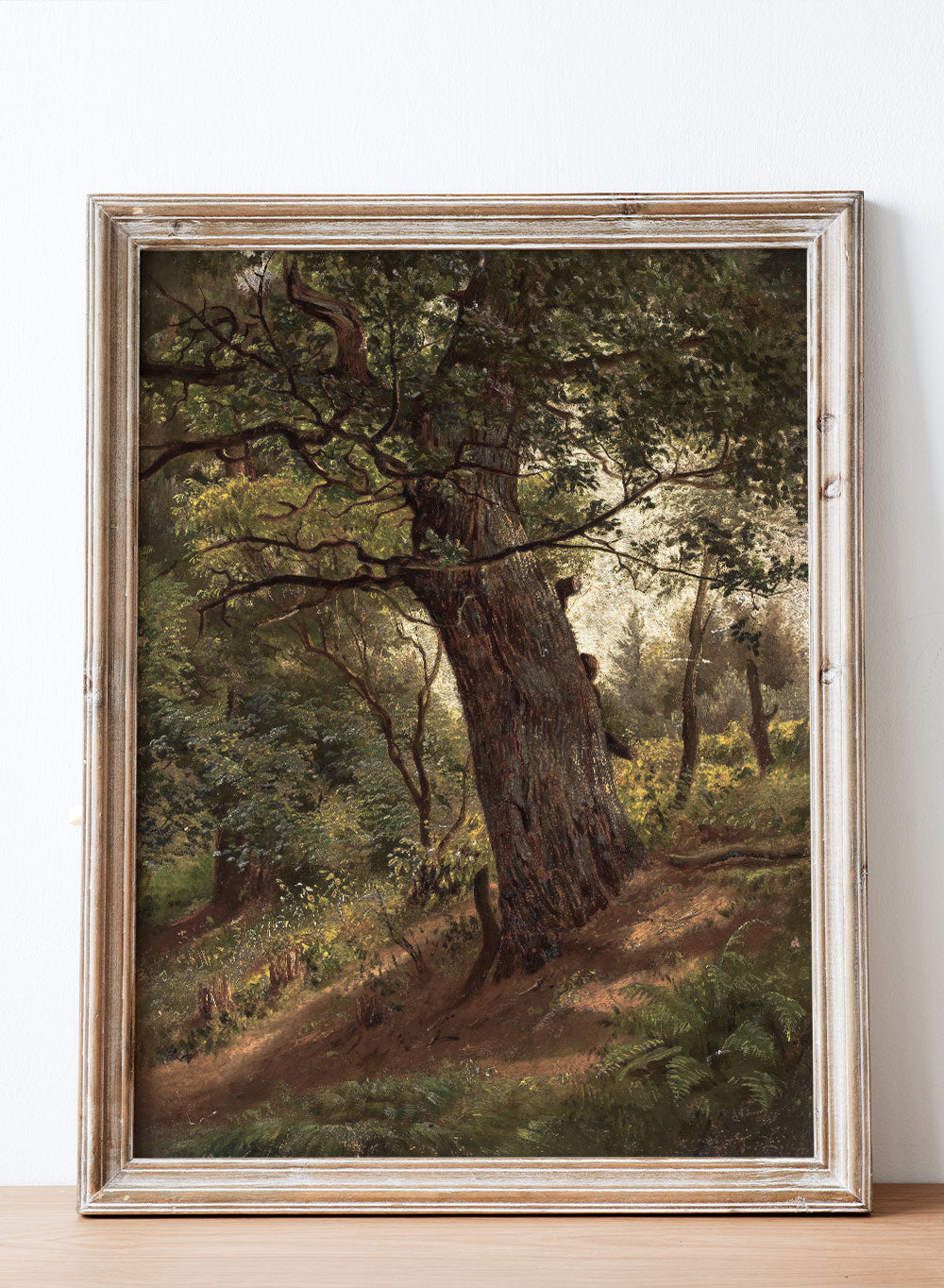 Rustic Vintage European Study of a Tree Oil Painting Wall Art Print, Dark Moody Forest Landscape, Warm Toned Farmhouse Antique Poster, Study of a tree Wilhelm Peter Bayer