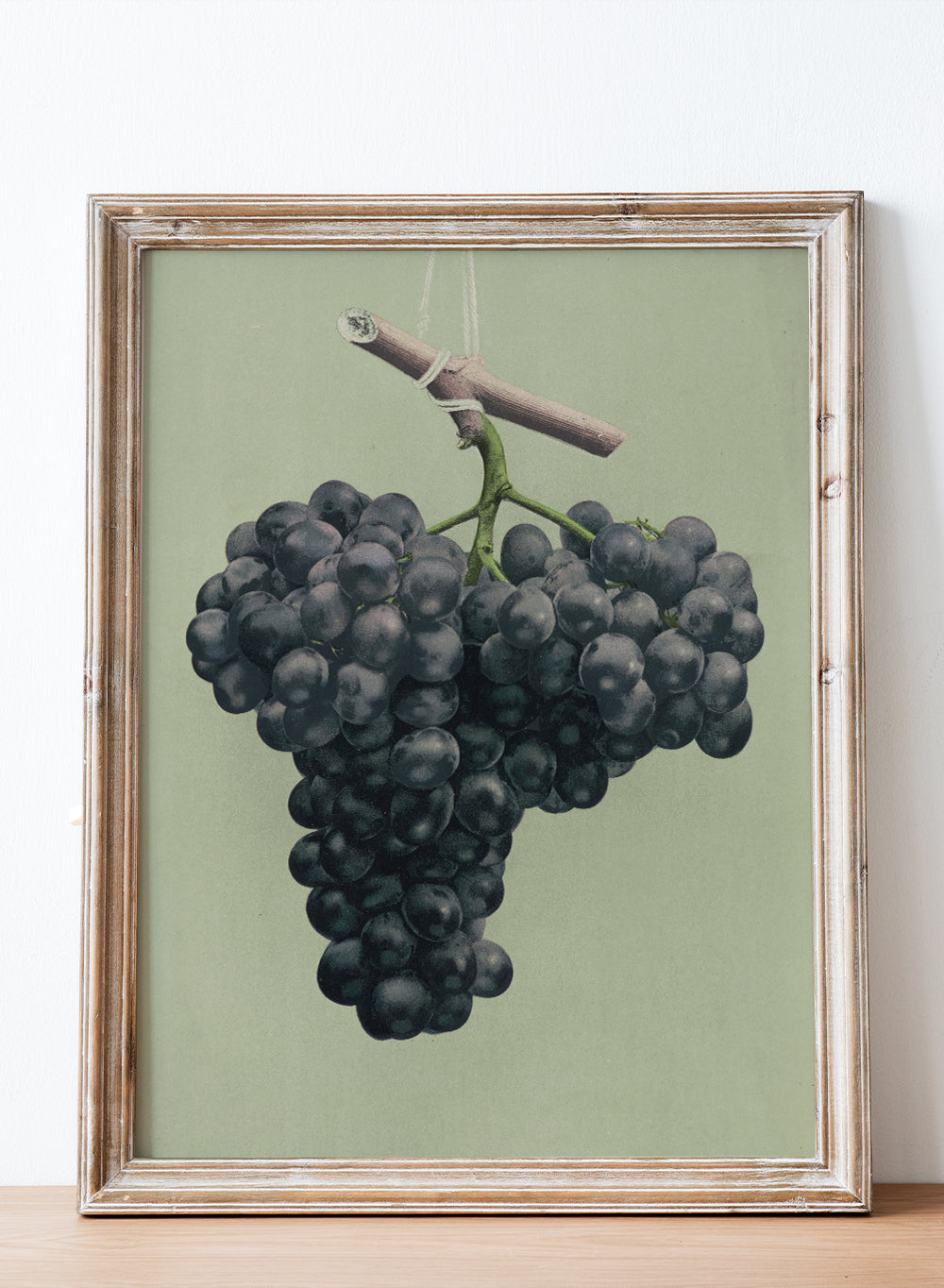 European Vintage Black Grapes Still Life Wall Art Print, Colorful Fruit Painting, Fruits Poster, Antique Country Farmhouse Kitchen, Louis Prang & Co. - Prize black Alicante grapes