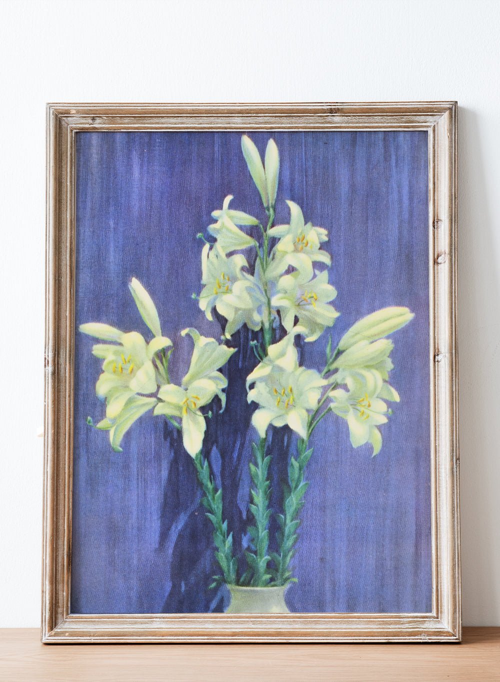 "Madonna Lily" Art Print_Sugar & Canvas