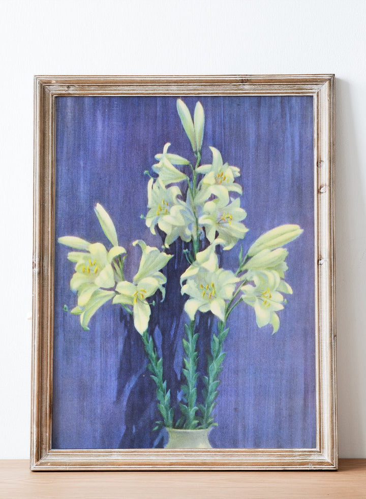 "Madonna Lily" Art Print_Sugar & Canvas