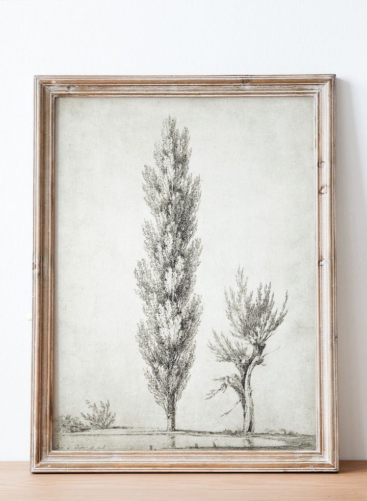 "Landscape with a Poplar and a Willow Tree" Art Print_Sugar & Canvas