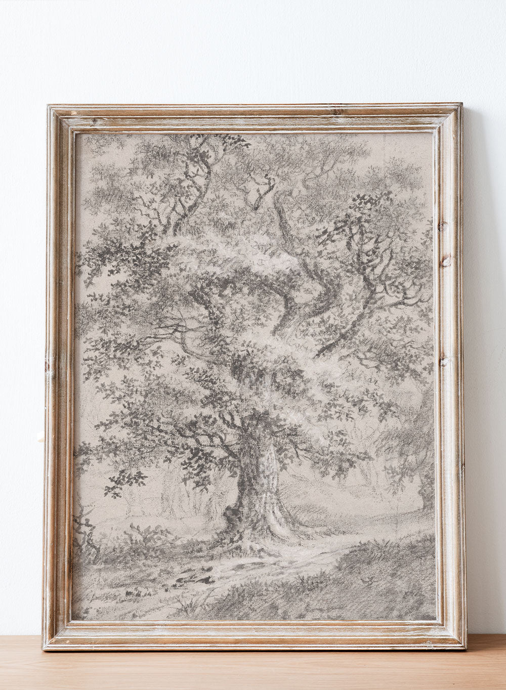 "A Leafy Oak by a Woodland Path" Art Print_Sugar & Canvas