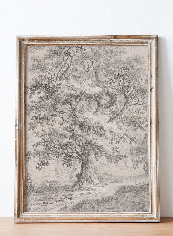 "A Leafy Oak by a Woodland Path" Art Print_Sugar & Canvas