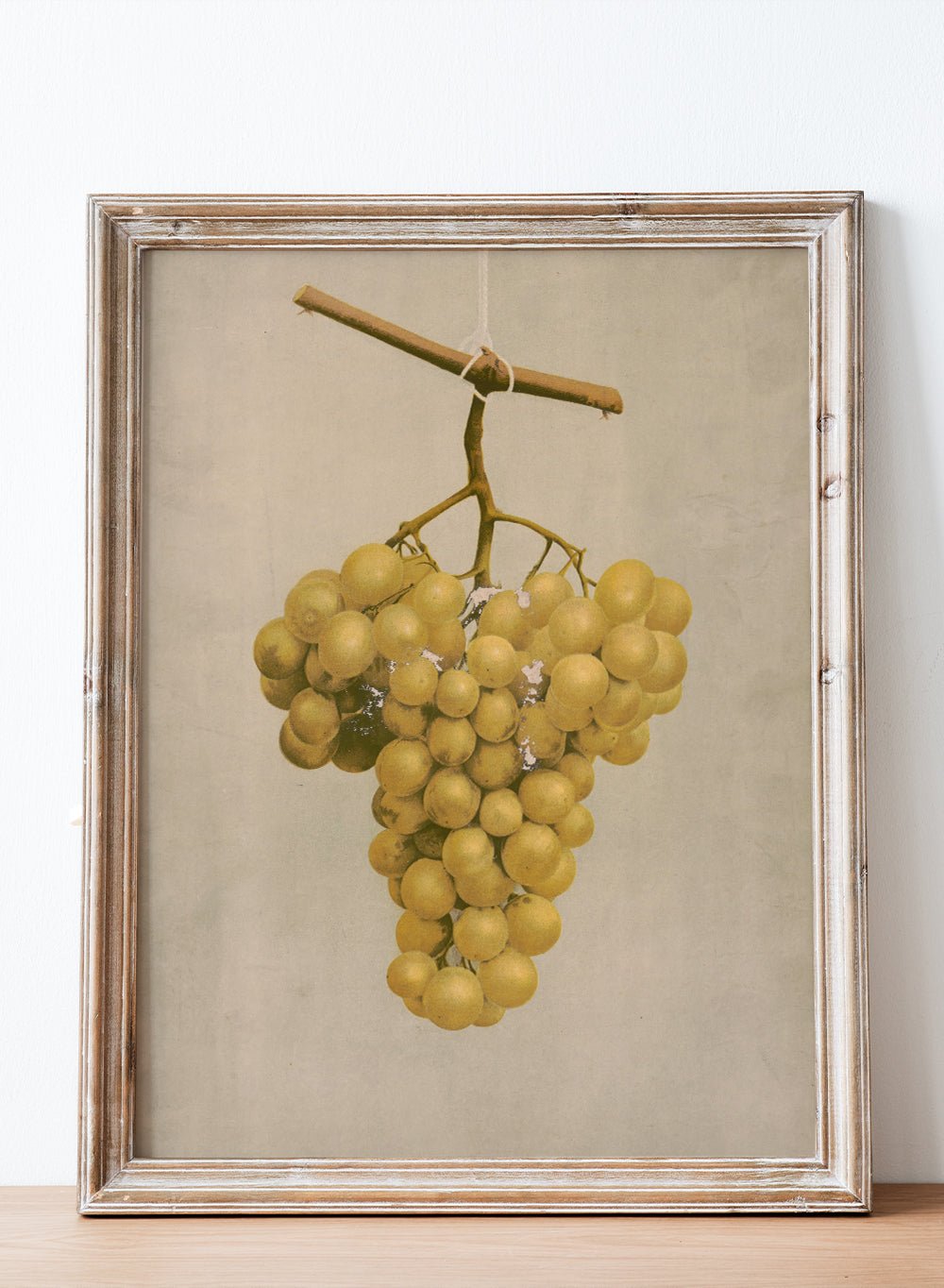 "Prize Golden Hamburg Grapes" Art Print_Sugar & Canvas