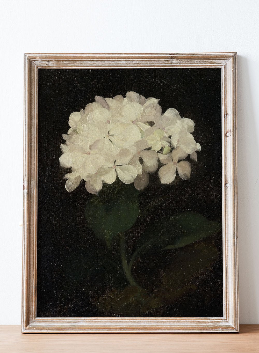 "White Hydrangea" Art PrintVP58Sugar & Canvas