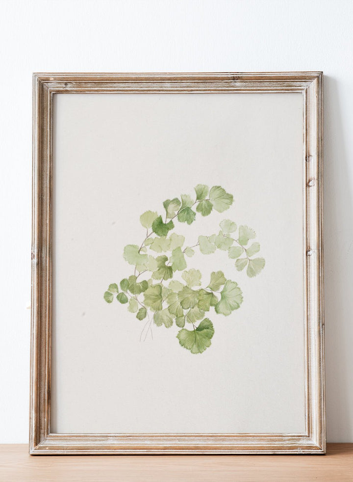 "Puccoon" Art Print_Sugar & Canvas