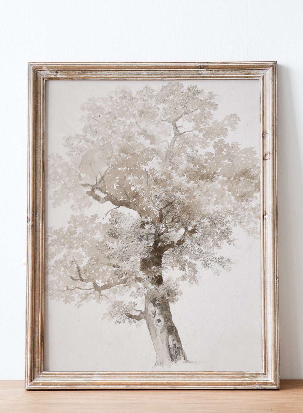 "Study of a Tree" Art Print_Sugar & Canvas