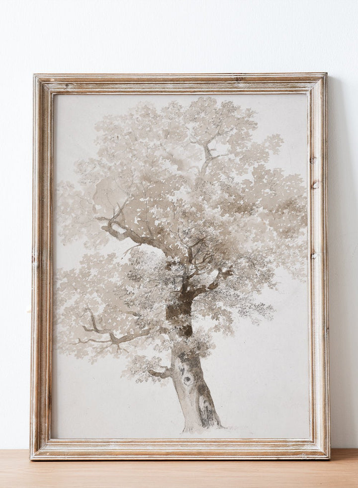 "Study of a Tree" Art Print_Sugar & Canvas