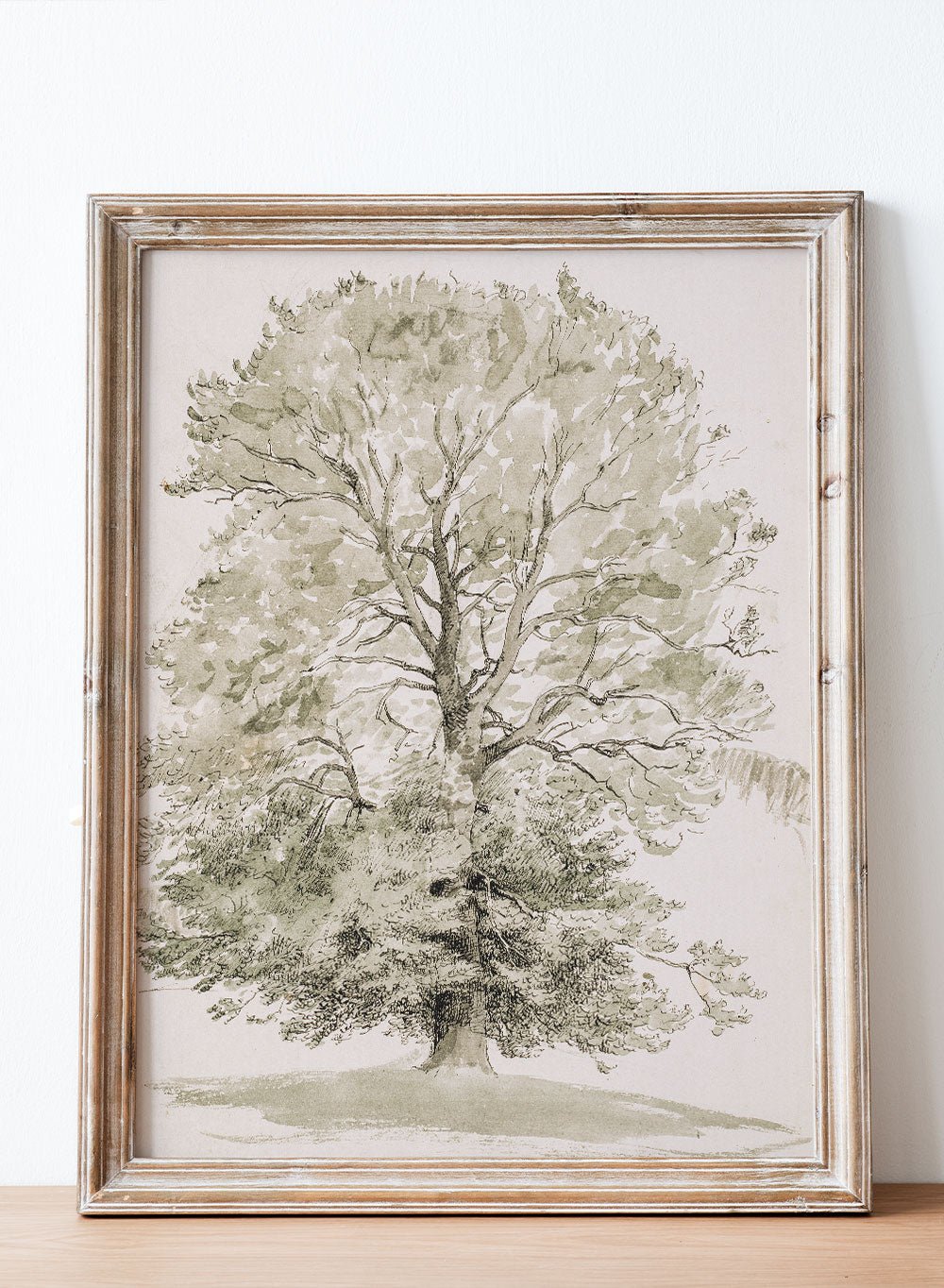 "A Large Beech Tree with Green Foliage" Art Print_Sugar & Canvas