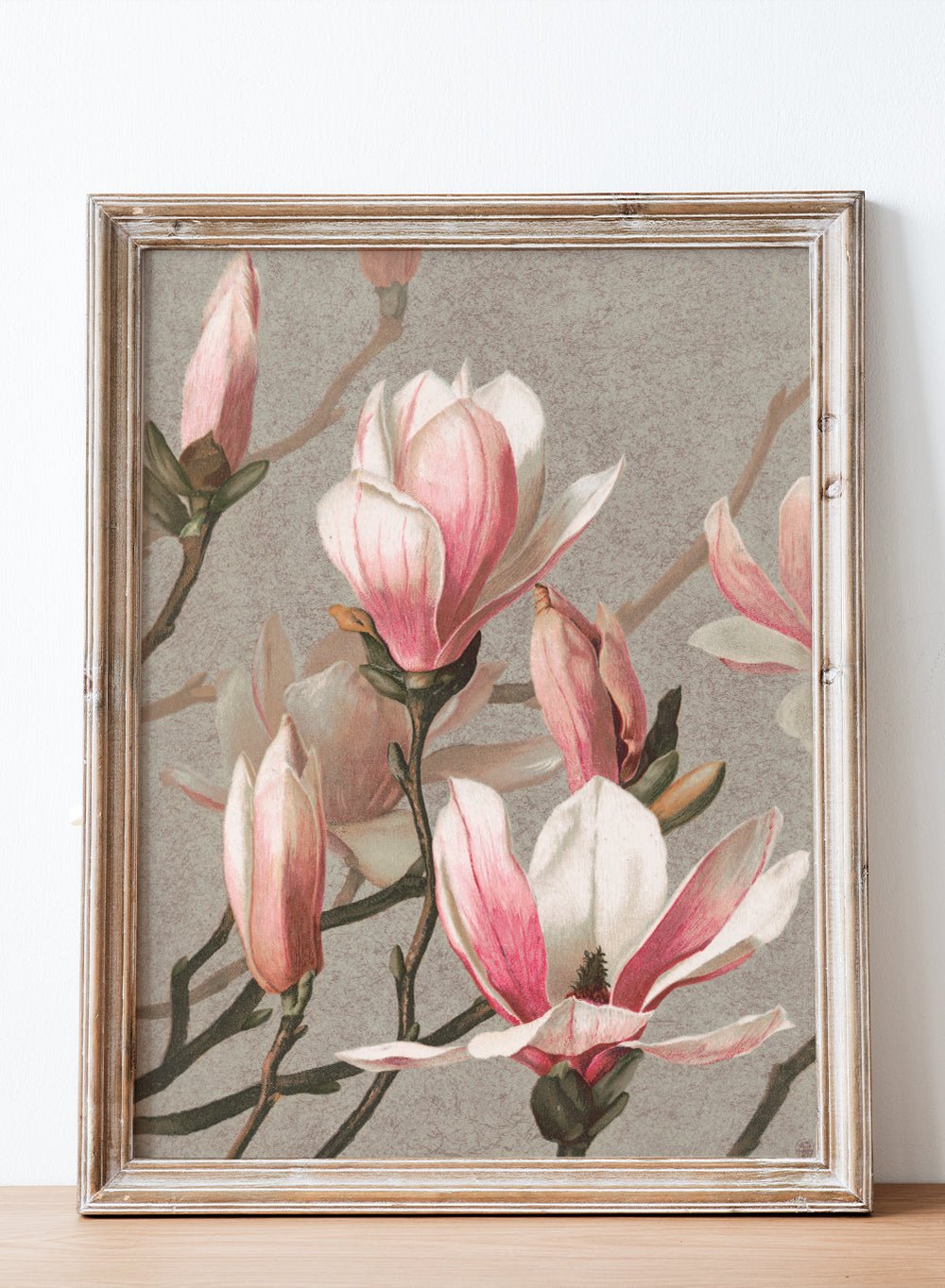 "Magnolia" Art Print_Sugar & Canvas