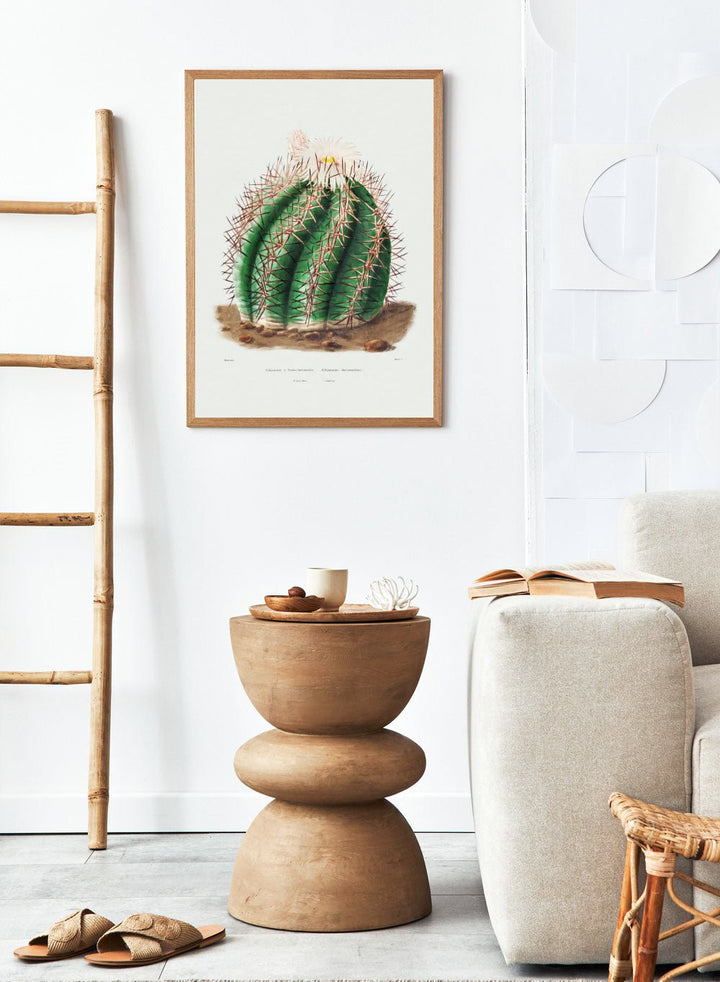 Turk's Head Cactus Vintage Art Print BA32_Sugar & Canvas