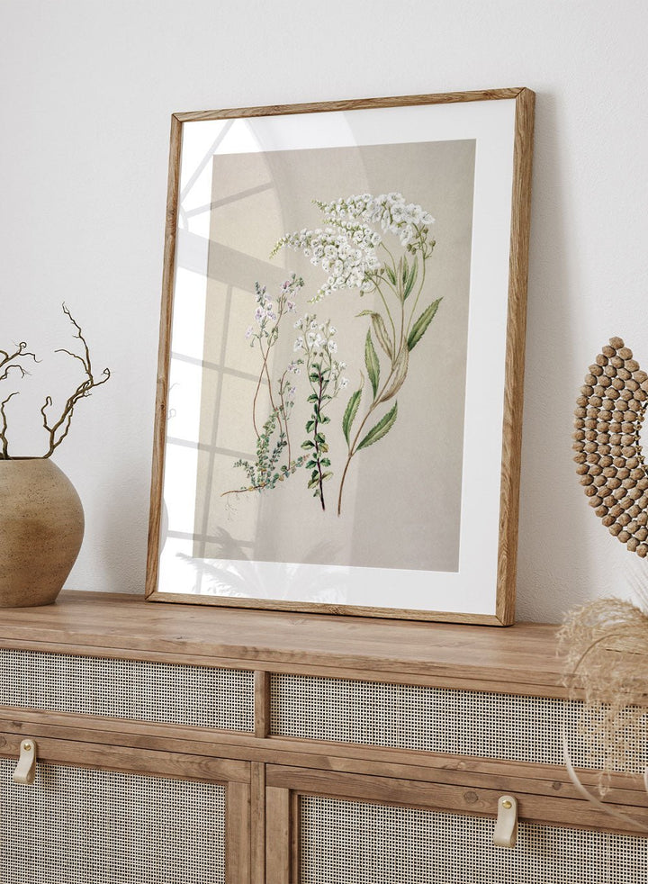 "Veronica" Art Print_Sugar & Canvas