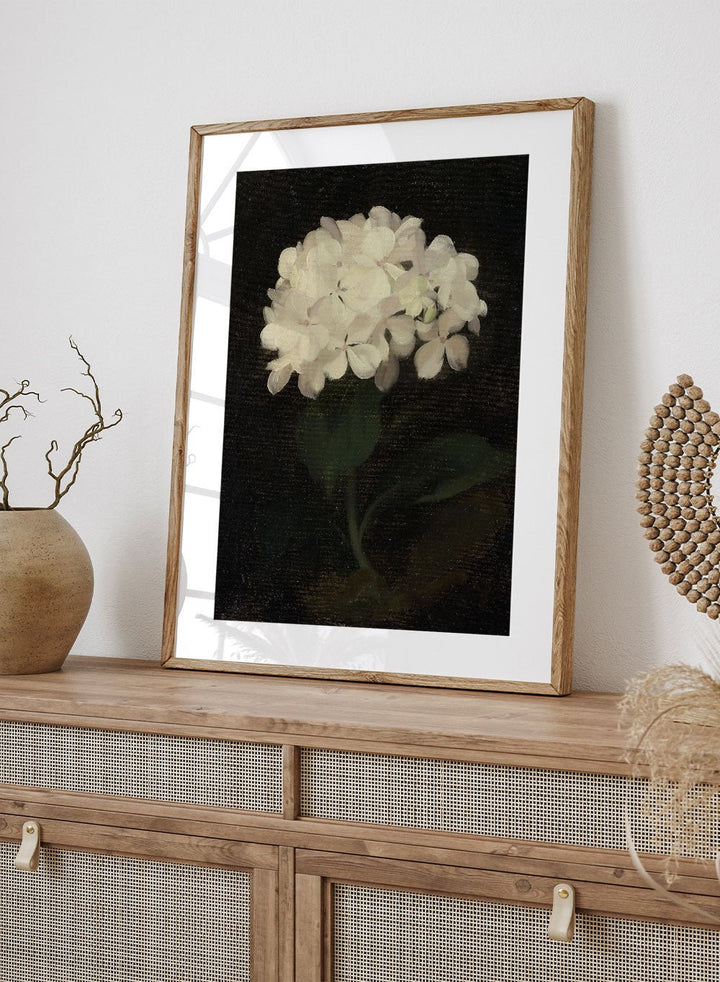 "White Hydrangea" Art Print_Sugar & Canvas